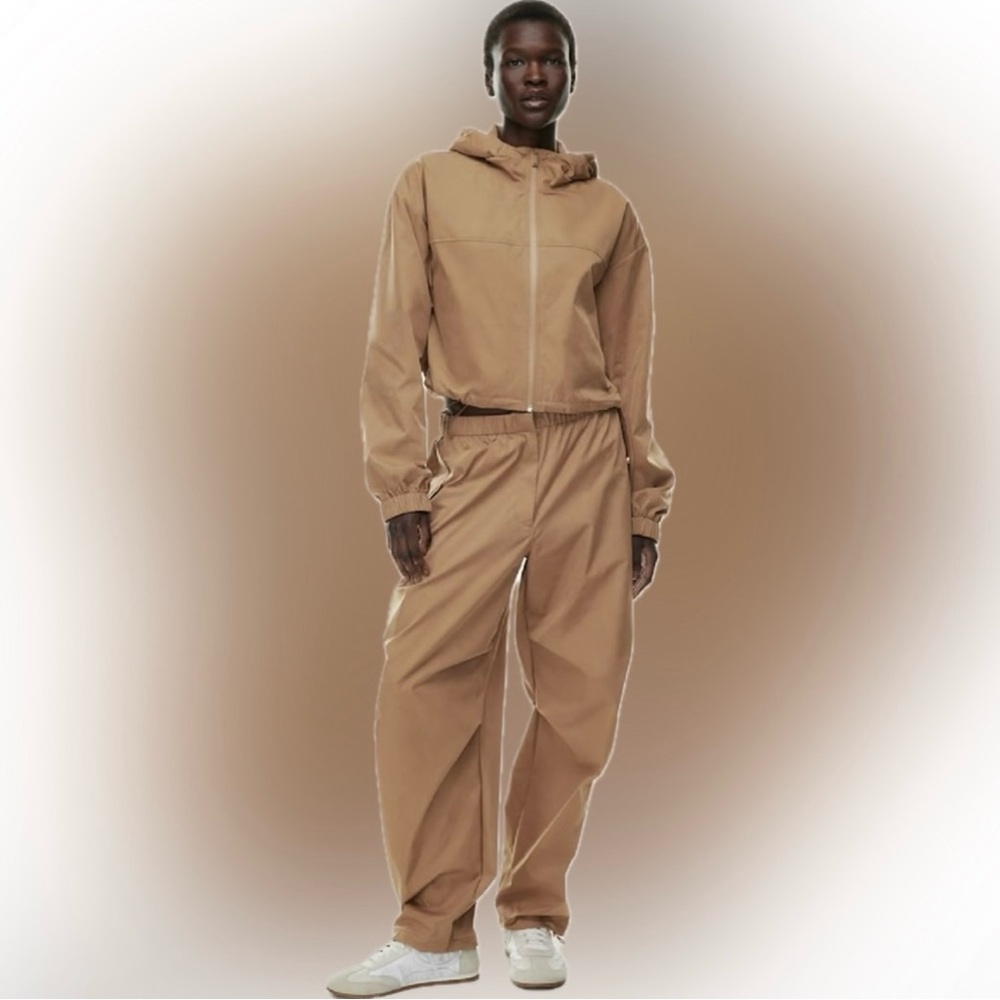 Aritzia The Group Babaton Emerson Pants | Saville